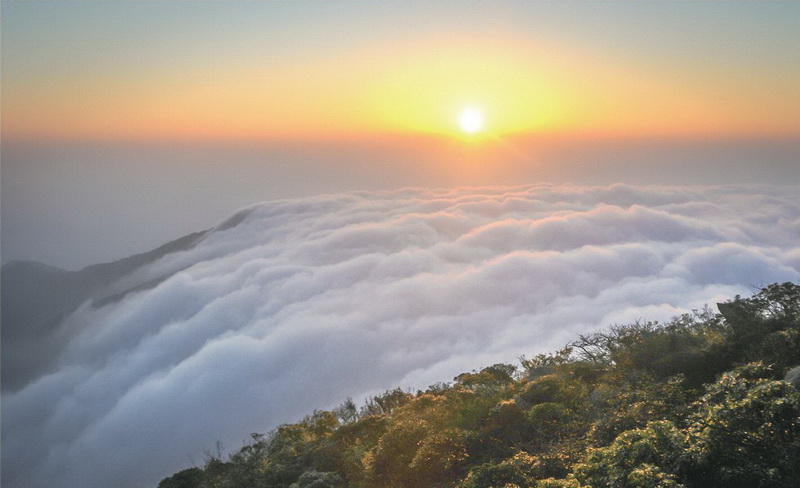 陽山 大稠頂 云海