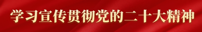 二十大海報(bào).png